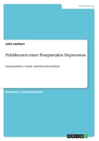 Pr�diktoren einer Postpartalen Depression: Literaturarbeit / Sozial- und Pr�ventivmedizin 3656979707 Book Cover