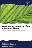 Активация проекта "Про-катадор" Пара: Межотраслевая государственная политика 6206124150 Book Cover