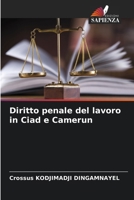 Diritto penale del lavoro in Ciad e Camerun (Italian Edition) 6208077133 Book Cover