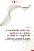 La Maîtrise de Traitement Uniforme Des Pièces Épaisses En Composites 3838182073 Book Cover