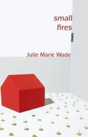 Small Fires: Essays 1936747022 Book Cover