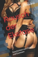 Rausch der Ekstase: Geschichten von Orgien und Exzessen (German Edition) B0DS8P61SP Book Cover