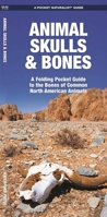 Animal Skulls & Bones: A Waterproof Pocket Guide to the Bones of Common North American Animals (Duraguide Series) 1583557962 Book Cover