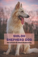 Shiloh Shepherd Dog: Get to Know the Shiloh Shepherd Dog B09TDW5HN4 Book Cover