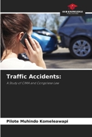 Traffic Accidents 6209666469 Book Cover