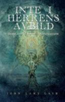 Inte i Herrens avbild: Gnostisk vision, sakral ekologi, och framtidens trossystem 9188667774 Book Cover