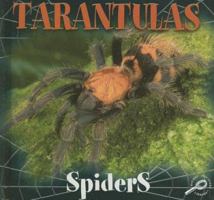 Tarantulas (Spiders Discovery Library) 0824951433 Book Cover