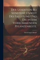 Der Sandstein bei Seinstedt unweit des Fallsteins und die in ihm vorkommenden Pflanzenreste. (German Edition) 1022308424 Book Cover