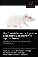 Morfometria do cora��o e pulm�o em descendentes de ratos com leptospirose 6203162647 Book Cover