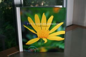 Courage Blossoms 1684190940 Book Cover