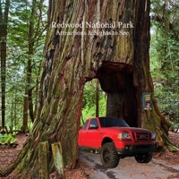 Redwood National Park Attractions and Sights to See Kids Book: Great Way for Children to See Redwood National Parks 1960612956 Book Cover