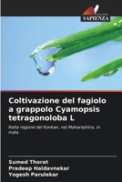Coltivazione del fagiolo a grappolo Cyamopsis tetragonoloba L 6630181484 Book Cover