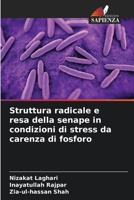 Struttura radicale e resa della senape in condizioni di stress da carenza di fosforo (Italian Edition) 6209897401 Book Cover