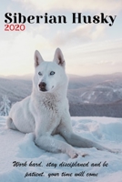 Siberian Huskies 2020 : Cute Dogs Puppy Animals Chukcha Canine, Animal Dog Breeds Husky, Loving and Smart 1656119102 Book Cover