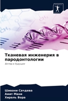 Тканевая инженерия в пародонтологии: Взгляд в будущее 6203488747 Book Cover