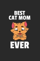 Katze K�tzchen Notizbuch: Katze K�tzchen Notizbuch f�r Liebhaber / Notizheft / Notizblock A5 (6x9in) Dotted Notebook / Punkteraster / 120 gepunktete Seiten 1673791492 Book Cover