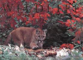 Wildlife of North America 0883633302 Book Cover