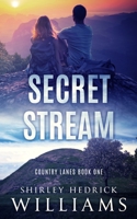 Secret Stream: A Tense, Page-Turning Christian Mystery and Sweet Romance 1735424870 Book Cover