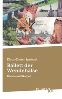 Ballett der Wendehälse: Wende mit Skalpell 3710357381 Book Cover