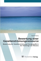 Bewertung einer Gezeitenströmungsressource: Bewertung der Gezeitenströmungs-Energiequelle in der Meerenge von Messina 620222634X Book Cover