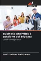 Business Analytics e gestione dei Bigdata (Italian Edition) 6207072464 Book Cover