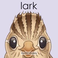 Lark 099510932X Book Cover