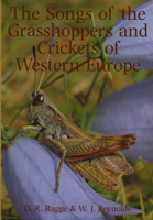 The Songs of the Grasshoppers and Crickets of Western Europe 0946589496 Book Cover