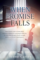 When Promise Falls: When Promise Falls for Bobby Ridell, innocent yet blamed for something he didn't do, he comes back through a friend's strength and because of God's forgiving grace. 1662889143 Book Cover