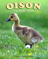 Oison: Un bébé d’oie (French Edition) B0HKFKVL1Z Book Cover