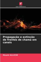 Propagação e extinção de frentes de chama em canais (Portuguese Edition) 6207831349 Book Cover