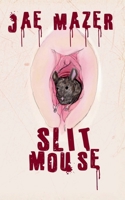 Slit Mouse B0H5L3C5C7 Book Cover