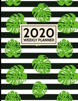 Weekly Planner 2020: Daily Organizer Book with To Do List (January 2020 to December 2020) Black Tropical Cover 1695308786 Book Cover