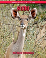 kudu: Amazing Facts & Photos B088BF5MS3 Book Cover