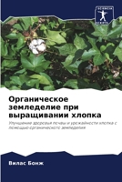 ???????????? ?????????? ??? ??????????? ??????: ????????? ???????? ????? ? ??????????? ?????? ? ??????? ????????????? ?????????? (Russian Edition) 6207576705 Book Cover