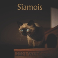 Siamois 2021 wall calendar 8.5"X8.5" finish glossy: Siamois wall calendar 2021 B08M2KBK6X Book Cover