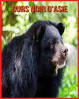Ours Noir d’Asie: Informations Intéressantes Concernant les Ours Noir d’Asie B08WJY7XR2 Book Cover