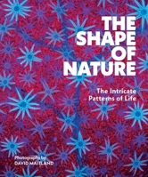 The Shape of Nature: Life Stories Behind Nature's Patterns 1419779796 Book Cover