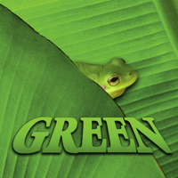 Green 1604724374 Book Cover