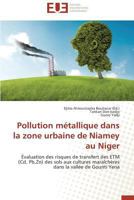 Pollution Ma(c)Tallique Dans La Zone Urbaine de Niamey Au Niger 3841730329 Book Cover