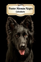 2020 Pastor Alem�n Negro Calendario: 107 P�ginas Tama�o A5 Planificador Semanal 12 Meses 1 Semana en 2 P�ginas Agenda Semana Vista Tapa Blanda Perro 1708567143 Book Cover