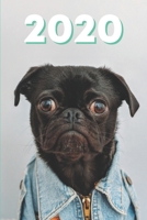 2020 Hunde Kalender: S��er Mops Wochenplaner mit Monats- und Jahresansicht - 100 Seiten - Januar bis Dezember Terminplaner 1706196571 Book Cover