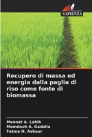 Recupero di massa ed energia dalla paglia di riso come fonte di biomassa 6206111237 Book Cover