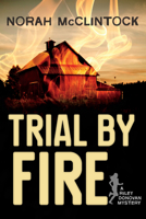 Trial by Fire: A Riley Donovan Mystery 145980936X Book Cover