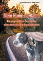 Mein Name ist Balou: Die unglaubliche Geschichte eines rum?nischen Stra?enhundes 375434613X Book Cover