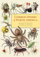 Common Spiders of North America 0520315316 Book Cover