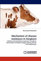 Mechanism of disease resistance in Sorghum: Infection induced defense responses in sorghum: Accumulation of Reactive Oxygen Species and cell wall modifications 3844383999 Book Cover