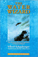 The Water Wizard: The Extraordinary Properties of Natural Water 1858600480 Book Cover