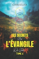 Les Secrets de l'Évangile de Jean: Tome 6 (French Edition) B0CL4Z62K7 Book Cover