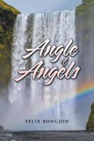 Angle of Angels 1490795340 Book Cover