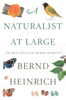 A Naturalist at Large: The Best Essays of Bernd Heinrich 0544986830 Book Cover